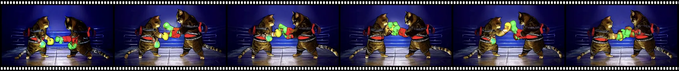 CFG video strip